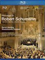 Роберт Шуманн: концерт к 200-летию / Homage to Robert Schumann - Live from the Frauenkirche Dresden (2010) (Blu-ray)