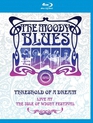 The Moody Blues: фестиваль на острове Уайт / The Moody Blues: Threshold of a Dream Live at the Isle of Wight Festival (1970) (Blu-ray)