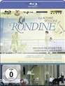 Пуччини: "Ласточка" / Puccini: La Rondine - Teatro la Fenice (2008) (Blu-ray)