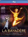 Минкус: Баядера (Баядерка) / Minkus: La Bayadère - The Royal Ballet (2009) (Blu-ray)