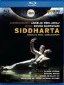 Мантовани: Сидхарта / Bruno Mantovani: Siddharta - Live from The Opera National De Paris (2010) (Blu-ray)
