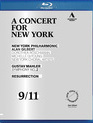 Малер: Симфония №2 - Концерт для Нью-Йорка памяти 9/11 / Mahler: Symphonie No. 2 Resurrection - A Concert for New York (2011) (Blu-ray)