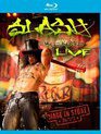 Слэш и Майлз Кеннеди: концерт в Victoria Hall Сток-он-Трента / Slash feat. Myles Kennedy: Live / Made In Stoke (2011) (Blu-ray)