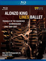 Alonzo King Lines Ballet: 3 балета / Alonzo King Lines Ballet (Triangle Of The Squinches) (Blu-ray)