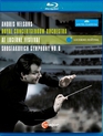 Шостакович, Штраус, Вагнер (Фестиваль в Люцерне-2011) / Shostakovich & Strauss & Wagner - Lucerne Festival 2011 (Blu-ray)