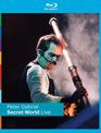 Питер Габриэл: концертный фильм "Secret World" / Peter Gabriel: Secret World Live (1994) (Blu-ray)