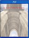 Триумфальный путь: исполняют Оле Руд и хор авиации Норвегии / La Voie Triomphale: Ole Ruud & Norwegian Armed Forces (Blu-ray)