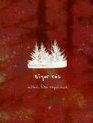 Sigur Ros: экспериментальный фильм "Valtari Mystery" / Sigur Ros: The Valtari Mystery Film Experiment (Blu-ray)