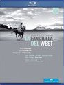 Пуччини: Девушка с запада / Puccini: La Fanciulla del West - Royal Swedish Opera House (Blu-ray)