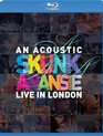 Skunk Anansie: Акустика - концерт в Лондоне / Skunk Anansie: Acoustic - Live In London (2013) (Blu-ray)