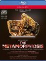 Пита: Метаморфозы / Pita: The Metamorphosis - The Royal Opera House (2013) (Blu-ray)