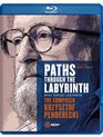 Пути через лабиринт: композитор Кшиштоф Пендерецкий / Paths Through The Labyrinth: The Composer Krzyszrof Penderecki (2013) (Blu-ray)