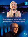 Натали Дессей и Мишель Легран: концерт в Версале / Natalie Dessay & Michel Legrand: Entre Elle & Lui - Live in Versailles (Blu-ray)