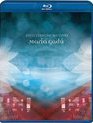 Мария Гаду: Мультишоу / Maria Gadu: Multishow Ao Vivo (2010) (Blu-ray)