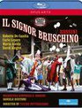 Россини: Синьор Брускино / Rossini: Il Signor Bruschino - Rossini Opera Festival (2012) (Blu-ray)