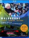 Летний концерт 2015 в Вальдбюне / Waldbuhne 2015: Lights, Camera, Action (Blu-ray)