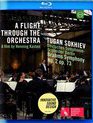 Полет сквозь оркестр - Брамс в Берлине / A Flight through the Orchestra (2015) (Blu-ray)