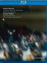 Малер: Симфония № 5 / Mahler: Symphony No. 5 - Nelsons & Lucerne Festival Orchestra (2015) (Blu-ray)