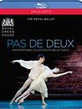 Широкий шаг: Коллекция балетных дуэтов / Pas de Deux: An exceptional collection of ballet duets (Blu-ray)