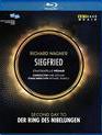 Вагнер: Зигфрид / Wagner: Siegfried - Deutsches Nationaltheater Weimar (2008) (Blu-ray)