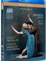 Балеты "Виолончелистка" и "Танцы на собрании" / The Cellist & Dances at a Gathering (Blu-ray)