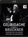 Челибидаке дирижирует 6-ю Симфонию Брукнера / Celibidache Conducts Bruckner Symphony No.6 - Munchner Philharmoniker (1991) (Blu-ray)