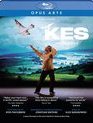 Фильм-балет "Kes Reimagined" / Kes Reimagined (Blu-ray)