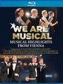 Музыкальные моменты из Вены (2021) / We Are Musical - Musical Highlights From Vienna (Blu-ray)
