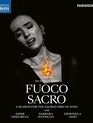 В поисках священного огня песни / Fuoco Sacro: A Search for the Sacred Fire of Song (Blu-ray)