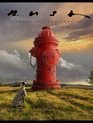 Rush: Сигналы (юбилейное делюкс-издание) / Rush: Signals 40th Anniversary (7-disc Super Deluxe Edition) (Blu-ray)