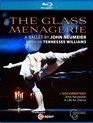 Стеклянный зверинец - Балет Джона Ноймайера / The Glass Menagerie - A Ballet By John Neumeier (Blu-ray)