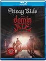 Stray Kids: концертный фильм "The dominATE" / Stray Kids: The dominATE Experience (Blu-ray)