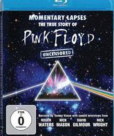 Пинк Флойд: Реальная история группы / Pink Floyd: Momentary Lapses - The True Story of Pink Floyd (2010) (Blu-ray)