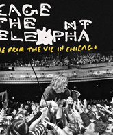 Cage the Elephant: концерт в Чикаго / Cage the Elephant: Live from the Vic In Chicago (2011) (Blu-ray)