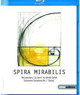 Шуман: Спира Мирабилис / Schumann: Spira Mirabilis (2010) (Blu-ray)