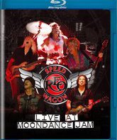 REO Speedwagon: концерт на фестивале Moondance Jam-2010 / REO Speedwagon: Live at Moondance Jam (2013) (Blu-ray)