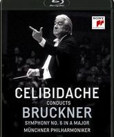Челибидаке дирижирует 6-ю Симфонию Брукнера / Celibidache Conducts Bruckner Symphony No.6 - Munchner Philharmoniker (1991) (Blu-ray)