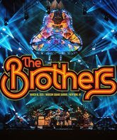 The ABB: юбилейный концерт в Мэдисон Сквер Гарден 2020 / The Brothers: March 10, 2020 Madison Square Garden (Blu-ray)