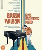 Брайан Уилсон: Долгая обещанная дорога / Brian Wilson: Long Promised Road (Blu-ray)