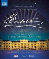 Левай: Элизабет (мюзикл) / Levay: Elisabeth (Blu-ray)