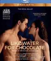 Талбот: Как вода для шоколада / Talbot: Like Water For Chocolate (Blu-ray)