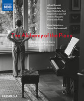Алхимия фортепиано / The Alchemy of the Piano (Blu-ray)