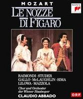 Моцарт: Женитьба Фигаро / Mozart: Le nozze di Figaro - Vienna Theatre (1991) (Blu-ray)