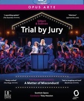 Суд присяжных / Дело о неправомерном поведении / Trial By Jury / A Matter of Misconduct! (Blu-ray)