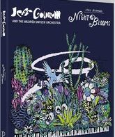 Джефф Голдблюм и The Mildred Snitzer Orchestra: Ночные цветы / Jeff Goldblum & the Mildred Snitzer Orchestra: Night Blooms (Blu-ray)