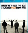 Wilco: Рокументари о подготовке альбома "Yankee Hotel Foxtrot" / I Am Trying to Break Your Heart: A Film About Wilco (2002) (Blu-ray)