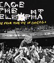 Cage the Elephant: концерт в Чикаго / Cage the Elephant: Live from the Vic In Chicago (2011) (Blu-ray)