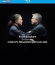 Шуберт: Зимний путь / Schubert: Winterreise (2013) (Blu-ray)
