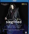 Вагнер: Зигфрид / Wagner: Siegfried - Live from the Teatro alla Scala (2012) (Blu-ray)