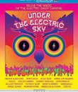 Под электронным небом / Under the Electric Sky (2014) (Blu-ray)